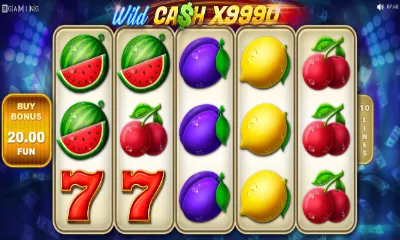 Wild Cash X9990 Slot