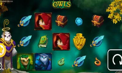 Owls Slot