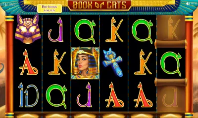 Book Of Cats Slot