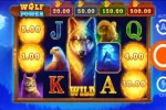 Wolf Power Hold and Win Slot