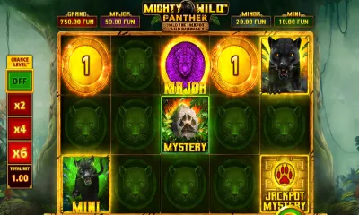Mighty Wild Panther Slot