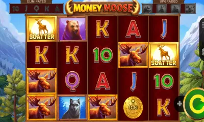 Money Moose Slot