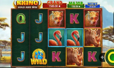 Rhino Hold and Win Slot