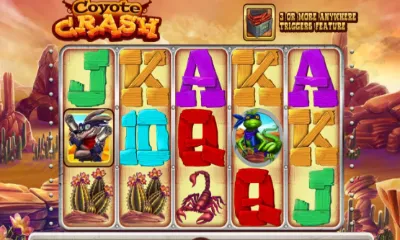 Coyote Crash Slot