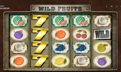 Wild Fruits Slot