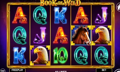Book of Wild Slot