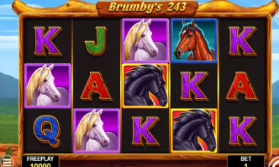 Brumby's 243 Slot